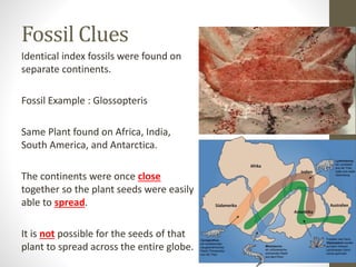 Fossil Clues
Identical index fossils were found on
separate continents.
Fossil Example : Glossopteris
Same Plant found on Africa, India,
South America, and Antarctica.
The continents were once close
together so the plant seeds were easily
able to spread.
It is not possible for the seeds of that
plant to spread across the entire globe.
 