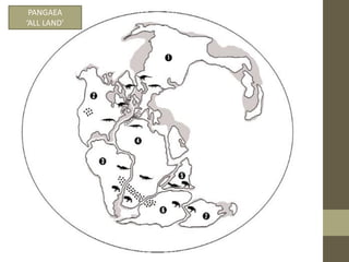 PANGAEA
‘ALL LAND’
 