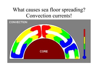 What causes sea floor spreading? Convection currents! 