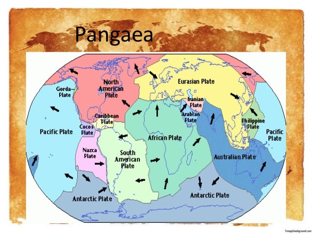 Continental Drift And Seafloor Spreading