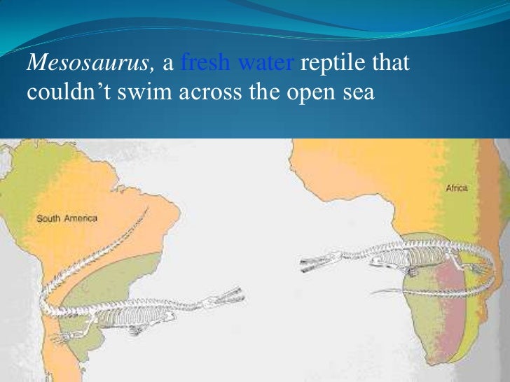 Continental drift theory