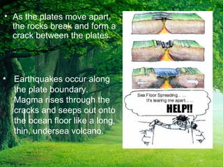 • As the plates move apart,
the rocks break and form a
crack between the plates.
• Earthquakes occur along
the plate boundary.
Magma rises through the
cracks and seeps out onto
the ocean floor like a long,
thin, undersea volcano.
 