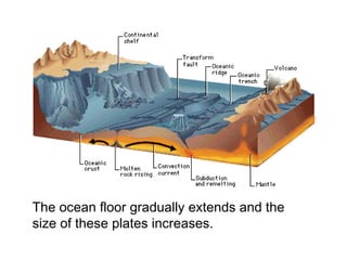 The ocean floor gradually extends and the
size of these plates increases.
 