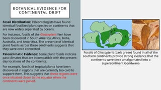 Continental Drift Theory plant phytogeography pptx | PPTX
