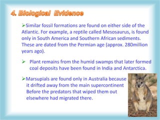 Similar fossil formations are found on either side of the
Atlantic. For example, a reptile called Mesosaurus, is found
only in South America and Southern African sediments.
These are dated from the Permian age (approx. 280million
years ago).
 Plant remains from the humid swamps that later formed
coal deposits have been found in India and Antarctica.
Marsupials are found only in Australia because
it drifted away from the main supercontinent
Before the predators that wiped them out
elsewhere had migrated there.
 
