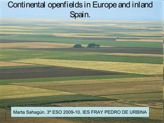 Continental openfields in Europe and inland
                  Spain.




 Marta Sahagún. 3º ESO 2009-10. IES FRAY PEDRO DE URBINA
 