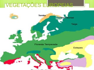 VEGETAÇÕES EUROPEIAS
 