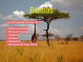 Biomas
Los principales biomas son:
→Selva ecuatorial
→Bosque tropical
→Sabana
→Estepa
→Desiertos
→Bosques de baja altura
 