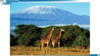 Kilimanjaro
5
Kilimanjaro
 