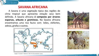 A Savana é uma vegetação tipica das regiões de
clima tropical que apresenta estação seca bem
definida. A Savana africana é composta por árvores
esparsas, arbusto e gramíneas. Na Savana africana
encontramos uma rica fauna com: leões, elefantes,
zebras, girafas e outros.
SAVANA AFRICANA
Imagem: D. Gordon E. Robertson / GNU Free Documentation License.
8
 