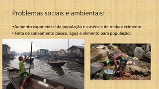 Problemas sociais e ambientais:
•Aumento exponencial da população e ausência de reabastecimento.
• Falta de saneamento básico, água e alimento para população.
 