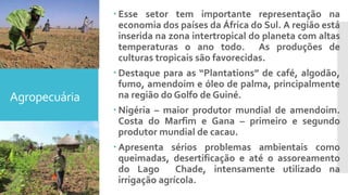 Agropecuária
 Esse setor tem importante representação na
economia dos países da África do Sul. A região está
inserida na zona intertropical do planeta com altas
temperaturas o ano todo. As produções de
culturas tropicais são favorecidas.
 Destaque para as “Plantations” de café, algodão,
fumo, amendoim e óleo de palma, principalmente
na região do Golfo de Guiné.
 Nigéria – maior produtor mundial de amendoim.
Costa do Marfim e Gana – primeiro e segundo
produtor mundial de cacau.
 Apresenta sérios problemas ambientais como
queimadas, desertificação e até o assoreamento
do Lago Chade, intensamente utilizado na
irrigação agrícola.
 