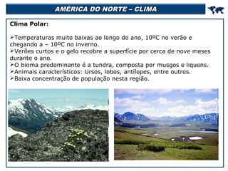 AMÉRICA DO NORTE – CLIMA



Clima Polar:
Temperaturas muito baixas ao longo do ano, 10ºC no verão e
chegando a – 10ºC no inverno.
Verões curtos e o gelo recobre a superfície por cerca de nove meses
durante o ano.
O bioma predominante é a tundra, composta por musgos e liquens.
Animais característicos: Ursos, lobos, antílopes, entre outros.
Baixa concentração de população nesta região.

 