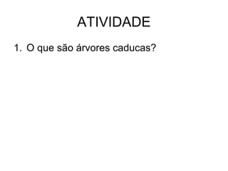 ATIVIDADE
1. O que são árvores caducas?

 