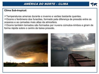 AMÉRICA DO NORTE – CLIMA



Clima Sub-tropical:
Temperaturas amenas durante o inverno e verões bastante quentes.
Ocorre o fenômeno dos furacões, formado pela diferença de pressão entre os
oceanos e as camadas mais altas da atmosfera.
Ocorre também tornados são formados por nuvens cúmulos-nimbos e giram de
forma rápida sobre o centro de baixa pressão.

 