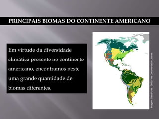 PRINCIPAIS BIOMAS DO CONTINENTE AMERICANO
Em virtude da diversidade
climática presente no continente
americano, encontramos neste
uma grande quantidade de
biomas diferentes.
Imagem:StenPorse/GNUFreeDocumentationLicense.
 