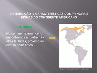 TUNDRA
DISTRIBUIÇÃO E CARACTERÍSTICAS DOS PRINCIPAIS
BIOMAS DO CONTINENTE AMERICANO
No continente americano
encontramos a tundra nas
altas latitudes, próximo ao
círculo polar ártico.
Imagem: Autor desconhecido / Free Art License.
 
