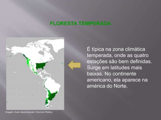 FLORESTA TEMPERADA
É típica na zona climática
temperada, onde as quatro
estações são bem definidas.
Surge em latitudes mais
baixas. No continente
americano, ela aparece na
américa do Norte.
Imagem: Autor desconhecido / Domínio Público.
 