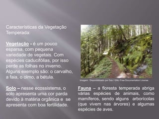 Características da Vegetação
Temperada:
Vegetação - é um pouco
esparsa, com pequena
variedade de vegetais. Com
espécies caducifólias, por isso
perde as folhas no inverno.
Alguns exemplo são: o carvalho,
a faia, o olmo, a bétula.
Solo – nesse ecossistema, o
solo apresenta uma cor parda
devido à matéria orgânica e se
apresenta com boa fertilidade.
Fauna – a floresta temperada abriga
várias espécies de animais, como
mamíferos, sendo alguns arborícolas
(que vivem nas árvores) e algumas
espécies de aves.
Imagem: Disponibilizado por Duk / GNU Free Documentation License.
 