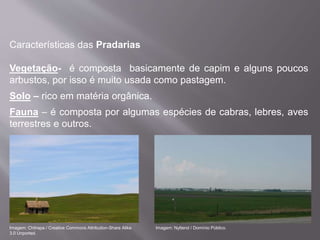 Características das Pradarias
Vegetação- é composta basicamente de capim e alguns poucos
arbustos, por isso é muito usada como pastagem.
Solo – rico em matéria orgânica.
Fauna – é composta por algumas espécies de cabras, lebres, aves
terrestres e outros.
Imagem: Nyttend / Domínio Público.Imagem: Chitrapa / Creative Commons Attribution-Share Alike
3.0 Unported.
 
