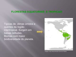 FLORESTAS EQUATORIAIS E TROPICAIS
Típicas de climas úmidos e
quentes da região
intertropical. Surgem em
baixas latitudes.
Biomas com maior
biodiversidade do planeta.
Imagem: Autor desconhecido/ Domínio Público.
 