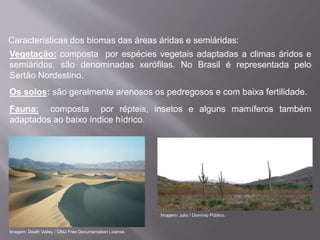 Vegetação: composta por espécies vegetais adaptadas a climas áridos e
semiáridos, são denominadas xerófilas. No Brasil é representada pelo
Sertão Nordestino.
Os solos: são geralmente arenosos os pedregosos e com baixa fertilidade.
Fauna: composta por répteis, insetos e alguns mamíferos também
adaptados ao baixo índice hídrico.
Características dos biomas das áreas áridas e semiáridas:
Imagem: Death Valley / GNU Free Documentation License.
Imagem: Julio / Domínio Público.
 