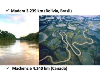  Madera 3.239 km (Bolivia, Brasil) 
 Mackenzie 4.240 km (Canadá) 
