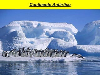 Continente Antártico
 