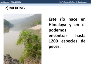 c) MEKONG
● Este río nace en
Himalaya y en el
podemos
encontrar hasta
1200 especies de
peces.
IV- Unidad : GEOGRAFÍA I.E.P «Nuestra Señora de Guadalupe»
 