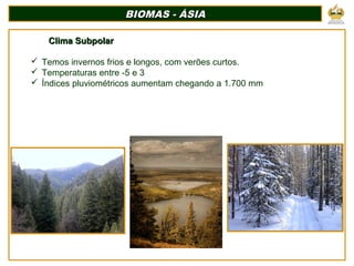 BIOMAS - ÁSIABIOMAS - ÁSIA
Clima SubpolarClima Subpolar
 Temos invernos frios e longos, com verões curtos.
 Temperaturas entre -5 e 3
 Índices pluviométricos aumentam chegando a 1.700 mm
 