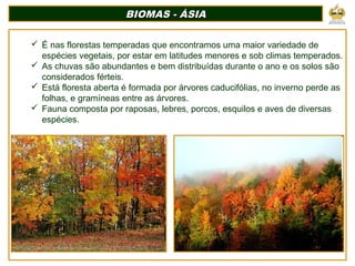BIOMAS - ÁSIABIOMAS - ÁSIA
 É nas florestas temperadas que encontramos uma maior variedade de
espécies vegetais, por estar em latitudes menores e sob climas temperados.
 As chuvas são abundantes e bem distribuídas durante o ano e os solos são
considerados férteis.
 Está floresta aberta é formada por árvores caducifólias, no inverno perde as
folhas, e gramíneas entre as árvores.
 Fauna composta por raposas, lebres, porcos, esquilos e aves de diversas
espécies.
 