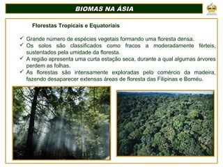 BIOMAS NA ÁSIABIOMAS NA ÁSIA
Florestas Tropicais e Equatoriais
 Grande número de espécies vegetais formando uma floresta densa.
 Os solos são classificados como fracos a moderadamente férteis,
sustentados pela umidade da floresta.
 A região apresenta uma curta estação seca, durante a qual algumas árvores
perdem as folhas.
 As florestas são intensamente exploradas pelo comércio da madeira,
fazendo desaparecer extensas áreas de floresta das Filipinas e Bornéu.
 