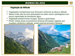 BIOMAS NA ÁSIABIOMAS NA ÁSIA
Vegetação de AltitudeVegetação de Altitude
 Vegetações montanhosas que diminuem conforme se eleva a altitude
 Abaixo onde não há neve apresentam-se solos rasos e pedregosos com
pouca capacidade de armazenar água.
 Vegetação predominante musgos, liquens e gramíneas.
 Porém nestas áreas encontramos diversas formações vegetais que
sucedem conforme a altitude, sendo possível encontrar florestas
temperadas e tundras.
 