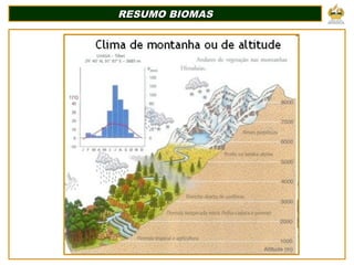 RESUMO BIOMASRESUMO BIOMAS
 