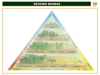 RESUMO BIOMASRESUMO BIOMAS
 