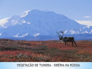 O QUADRO NATURAL ASIÁTICO