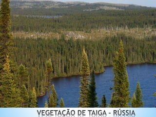 O QUADRO NATURAL ASIÁTICO