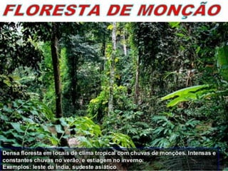 O QUADRO NATURAL ASIÁTICO