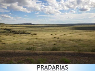 O QUADRO NATURAL ASIÁTICO