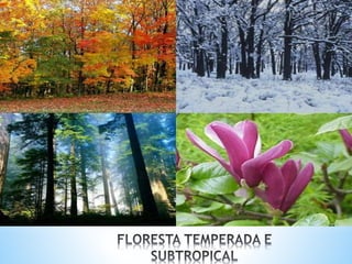 O QUADRO NATURAL ASIÁTICO