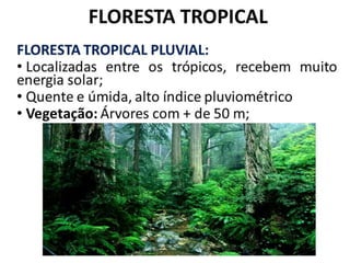 O QUADRO NATURAL ASIÁTICO