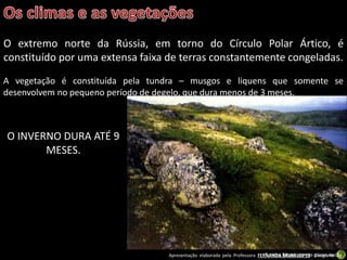 Apresentação elaborada pela Professora FERNANDA BRUM LOPES - Geografia
O extremo norte da Rússia, em torno do Círculo Polar Ártico, é
constituído por uma extensa faixa de terras constantemente congeladas.
Tundra Siberiana em pleno verão.
A vegetação é constituída pela tundra – musgos e liquens que somente se
desenvolvem no pequeno período de degelo, que dura menos de 3 meses.
O INVERNO DURA ATÉ 9
MESES.
 