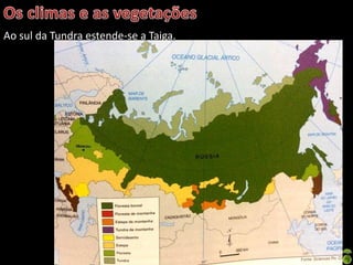 Apresentação elaborada pela Professora FERNANDA BRUM LOPES - Geografia
Ao sul da Tundra estende-se a Taiga.
 