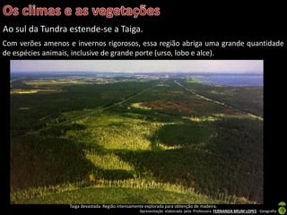 Apresentação elaborada pela Professora FERNANDA BRUM LOPES - Geografia
Ao sul da Tundra estende-se a Taiga.
Taiga devastada. Região intensamente explorada para obtenção de madeira.
Com verões amenos e invernos rigorosos, essa região abriga uma grande quantidade
de espécies animais, inclusive de grande porte (urso, lobo e alce).
 