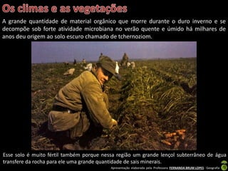 Apresentação elaborada pela Professora FERNANDA BRUM LOPES - Geografia
Esse solo é muito fértil também porque nessa região um grande lençol subterrâneo de água
transfere da rocha para ele uma grande quantidade de sais minerais.
A grande quantidade de material orgânico que morre durante o duro inverno e se
decompõe sob forte atividade microbiana no verão quente e úmido há milhares de
anos deu origem ao solo escuro chamado de tchernoziom.
 
