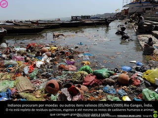 Apresentação elaborada pela Professora FERNANDA BRUM LOPES - Geografia
Indianos procuram por moedas ou outros itens valiosos (05/Abril/2009).Rio Ganges, Índia.
O rio está repleto de resíduos químicos, esgotos e até mesmo os restos de cadáveres humanos e animais
que carregam grandes riscos para a saúde.
 