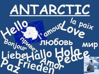 ANTARCTIC Love Peace Hello Hallo Liebe Frieden Hola Paz Amor привет любовь мир Bonjour l'amour la paix 