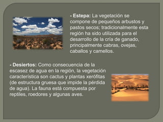 - Estepa: La vegetación se
compone de pequeños arbustos y
pastos secos; tradicionalmente esta
región ha sido utilizada para el
desarrollo de la cría de ganado,
principalmente cabras, ovejas,
caballos y camellos.
- Desiertos: Como consecuencia de la
escasez de agua en la región, la vegetación
característica son cactus y plantas xerófitas
(de estructura gruesa que impide la pérdida
de agua). La fauna está compuesta por
reptiles, roedores y algunas aves.

 