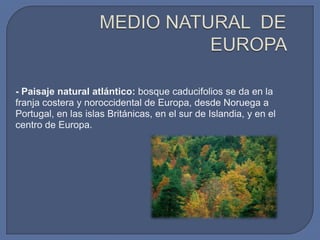 - Paisaje natural atlántico: bosque caducifolios se da en la
franja costera y noroccidental de Europa, desde Noruega a
Portugal, en las islas Británicas, en el sur de Islandia, y en el
centro de Europa.

 