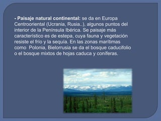 - Paisaje natural continental: se da en Europa
Centrooriental (Ucrania, Rusia..), algunos puntos del
interior de la Península Ibérica. Se paisaje más
característico es de estepa, cuya fauna y vegetación
resiste el frío y la sequía. En las zonas marítimas
como Polonia, Bielorrusia se da el bosque caducifolio
o el bosque mixtos de hojas caduca y coníferas.

 